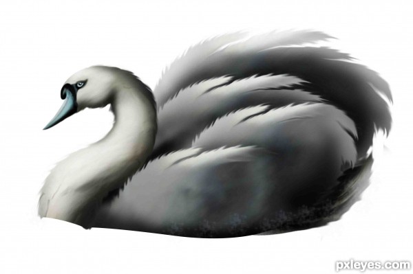 Creation of Blue swan: Step 9
